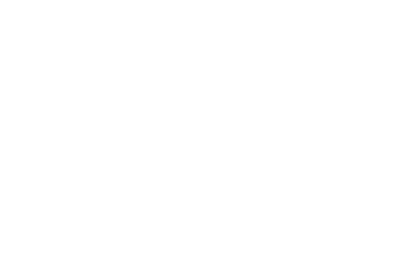 Logo: WfB Rhein-Main e.V.